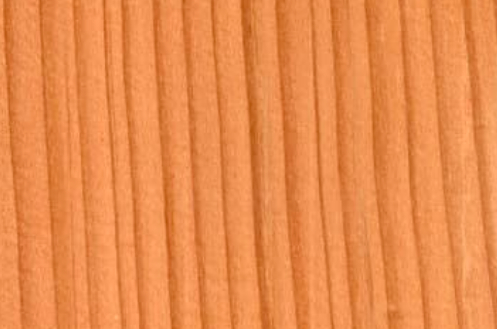 this image shows douglas fir flooring